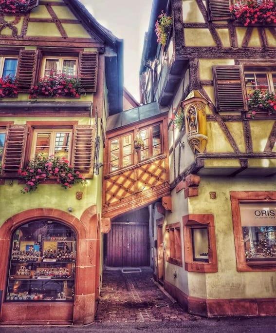 Ferienwohnung Le Petit Bali Sélestat Exterior foto